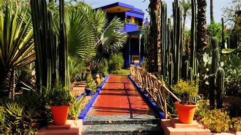 marrakech yves saint laurent jardin|yves saint laurent equestrian.